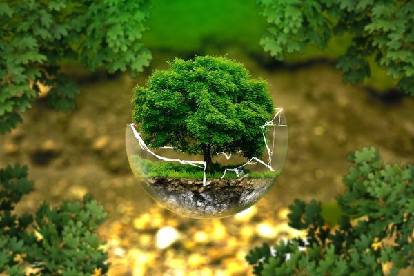 La protection de la biodiversité et les politiques de conservation de la nature