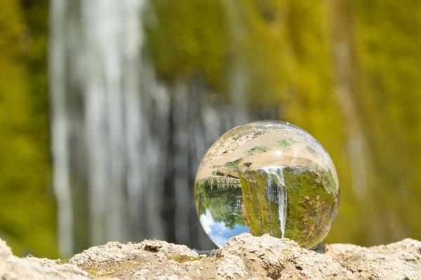 Les associations engagées pour la durabilité environnementale en France