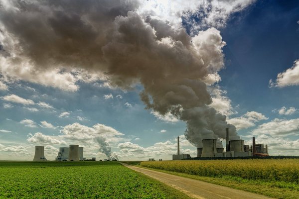 Pourquoi rejoindre une association de durabilité environnementale?