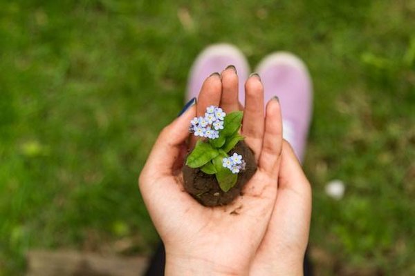Quels sont les défis et les opportunités des organisations de durabilité environnementale ?