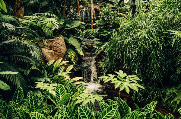 Comment apprendre l'écologie de façon ludique et interactive ?